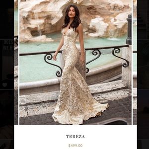 Alamour the Label Tereza Gold Prom Dress